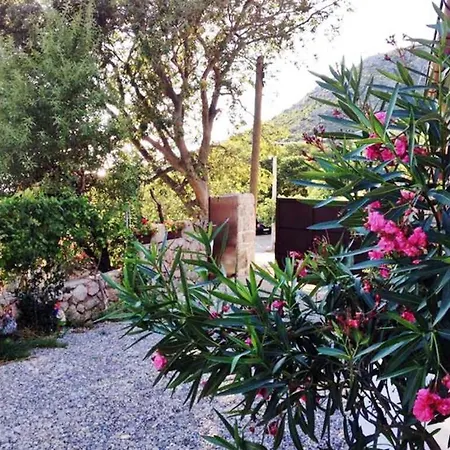 Tatil Evi In Starigrad-paklenica 34262 Starigrad Paklenica