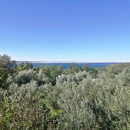 In Starigrad-paklenica 34262